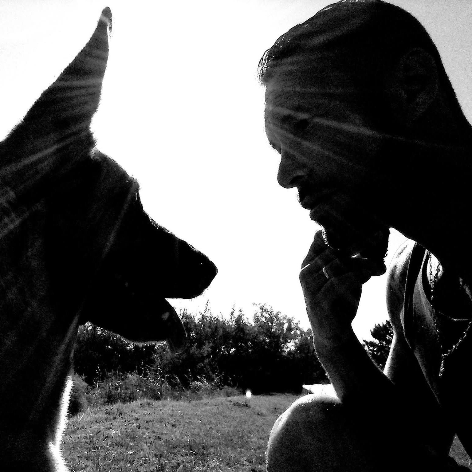 Photo de Laurent MARCHESSEAU
