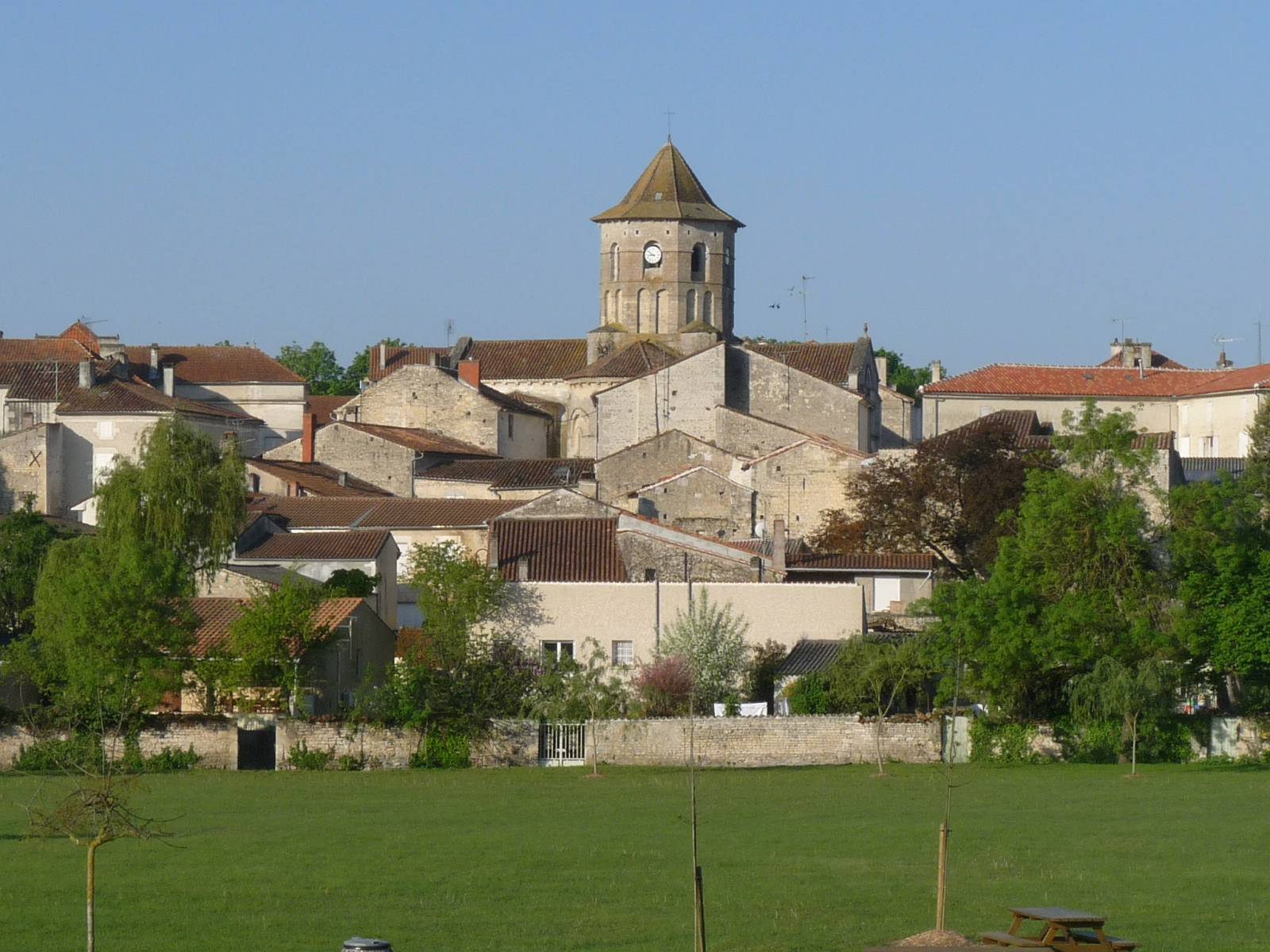 Photo de Dominique MARTINET